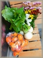 無人野菜