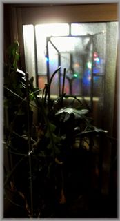 DSCF1674.JPG