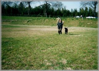 img029.jpg
